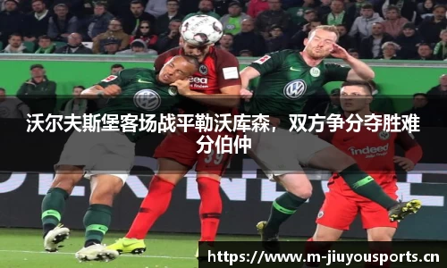 沃尔夫斯堡客场战平勒沃库森，双方争分夺胜难分伯仲